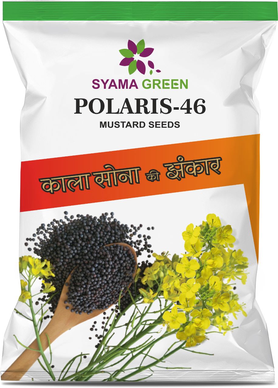 Samrat-231 Polaris-46